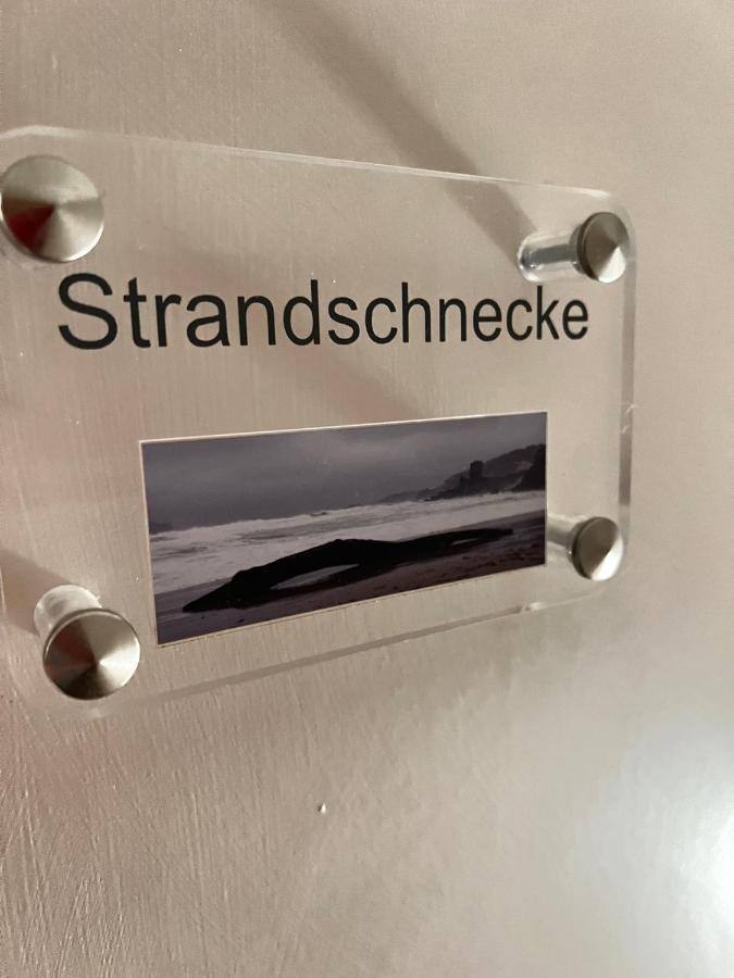 Strandschnecke List auf Sylt